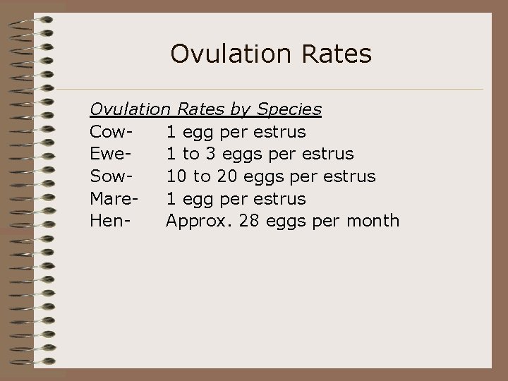 Ovulation Rates by Species Cow 1 egg per estrus Ewe 1 to 3 eggs