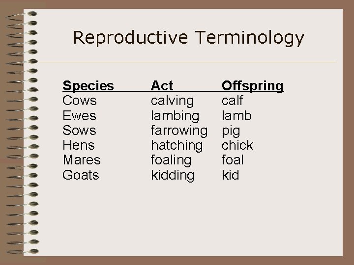 Reproductive Terminology Species Cows Ewes Sows Hens Mares Goats Act calving lambing farrowing hatching