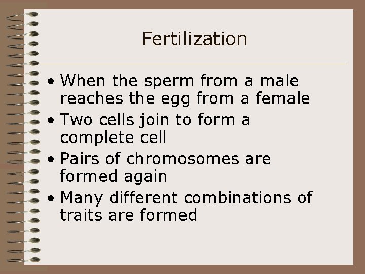 Fertilization • When the sperm from a male reaches the egg from a female