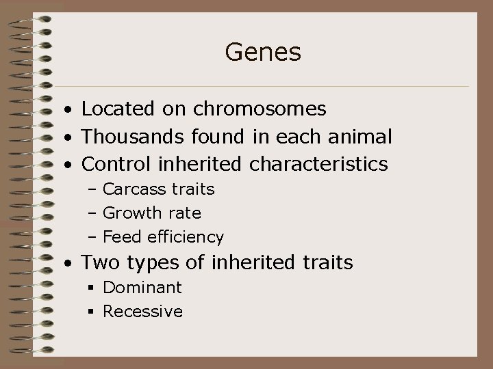 Genes • Located on chromosomes • Thousands found in each animal • Control inherited