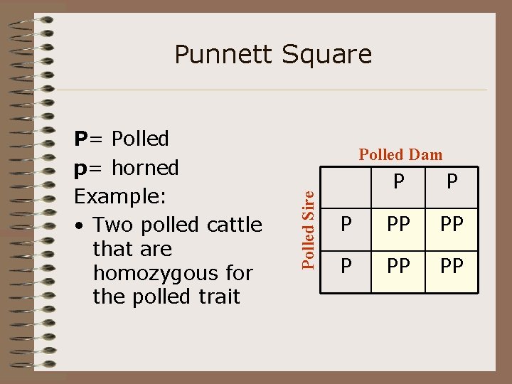 Punnett Square Polled Dam Polled Sire P= Polled p= horned Example: • Two polled