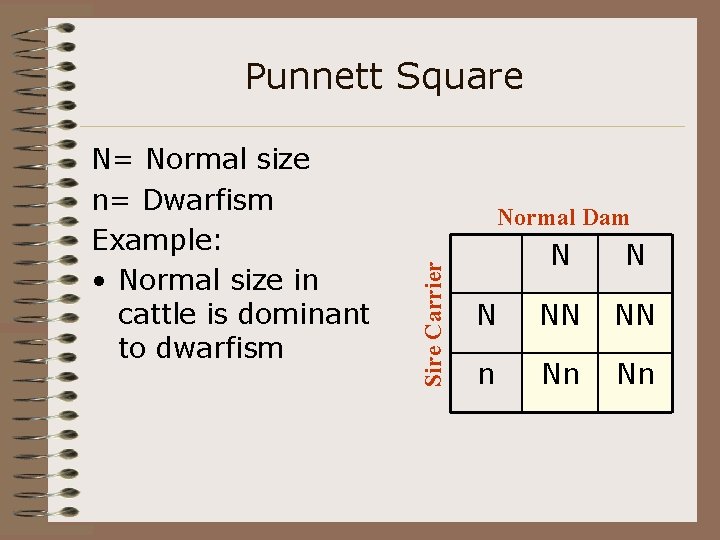 Punnett Square Normal Dam Sire Carrier N= Normal size n= Dwarfism Example: • Normal
