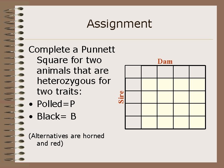 Assignment (Alternatives are horned and red) Dam Sire Complete a Punnett Square for two
