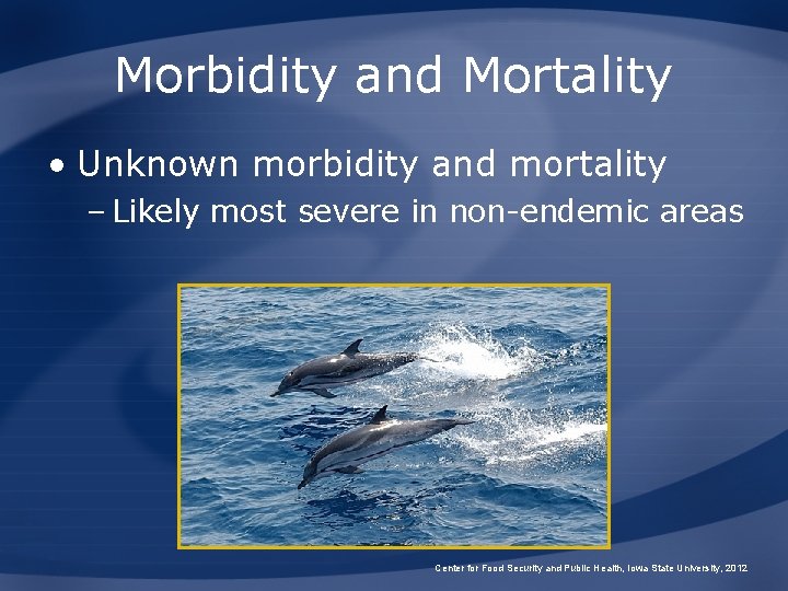 Morbidity and Mortality • Unknown morbidity and mortality – Likely most severe in non-endemic