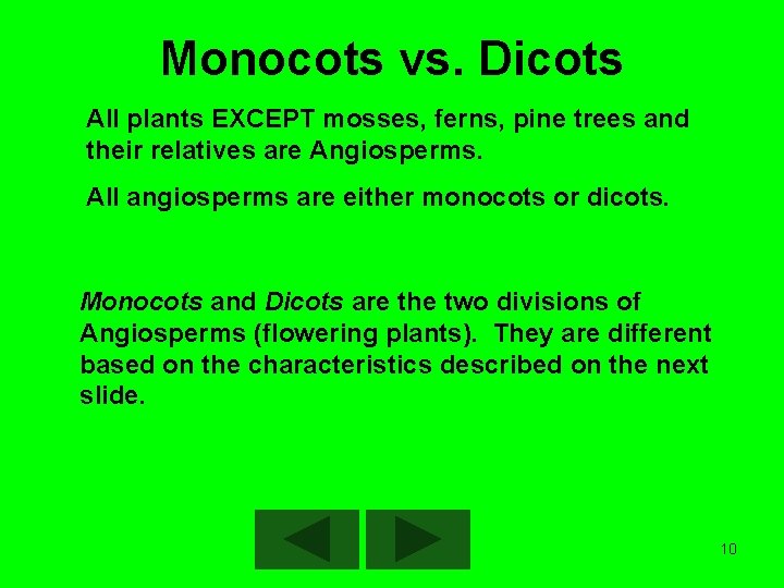 Monocots vs. Dicots All plants EXCEPT mosses, ferns, pine trees and their relatives are
