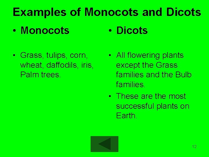 Examples of Monocots and Dicots • Monocots • Dicots • Grass, tulips, corn, wheat,