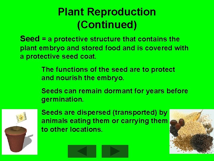 Plant Reproduction (Continued) Seed = a protective structure that contains the plant embryo and