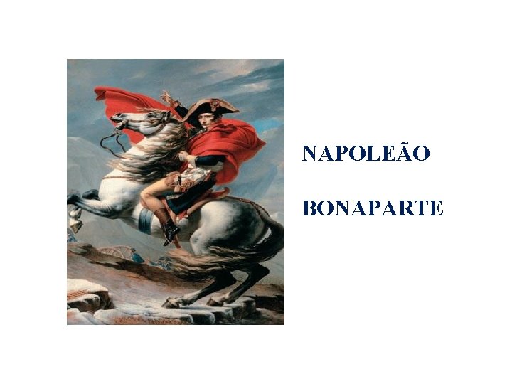 NAPOLEÃO BONAPARTE 