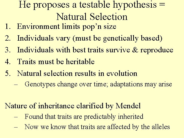 1. 2. 3. 4. 5. He proposes a testable hypothesis = Natural Selection Environment
