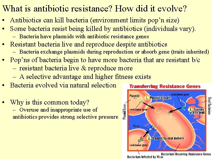 What is antibiotic resistance? How did it evolve? • Antibiotics can kill bacteria (environment