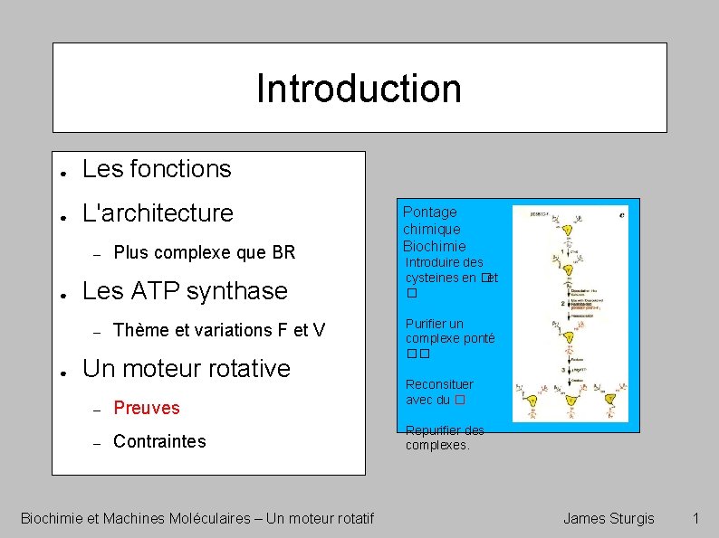 Introduction ● Les fonctions ● L'architecture – ● Les ATP synthase – ● Plus