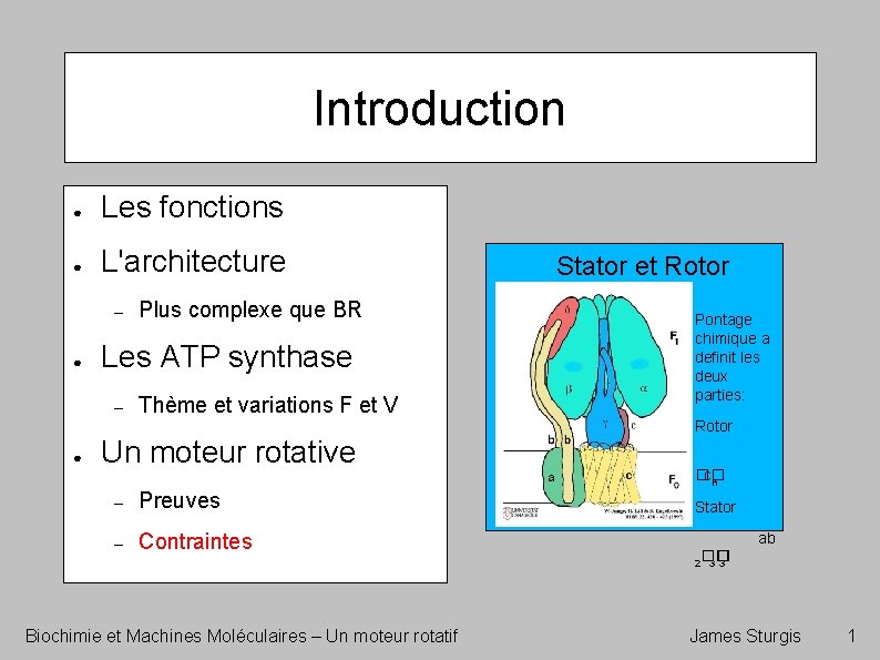 Introduction ● Les fonctions ● L'architecture – ● Les ATP synthase – ● Plus