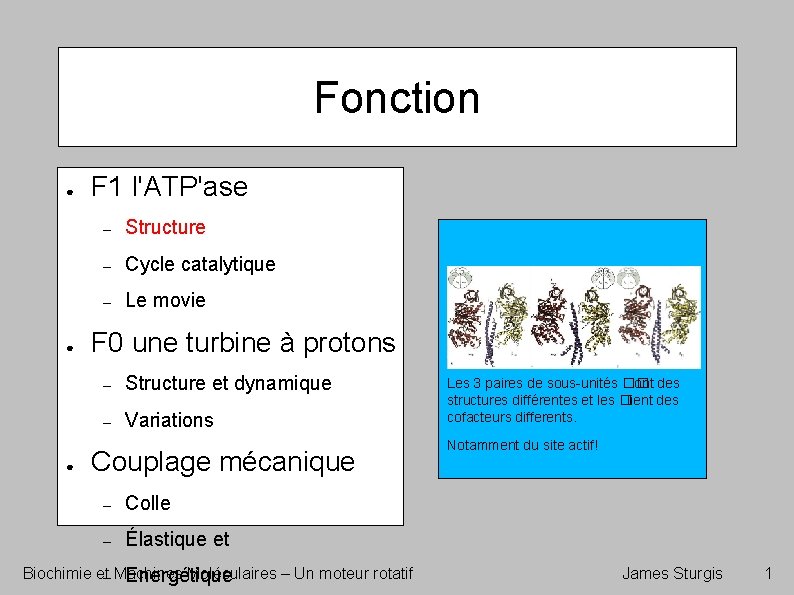 Fonction ● ● ● F 1 l'ATP'ase – Structure – Cycle catalytique – Le