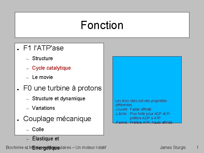 Fonction ● ● ● F 1 l'ATP'ase – Structure – Cycle catalytique – Le