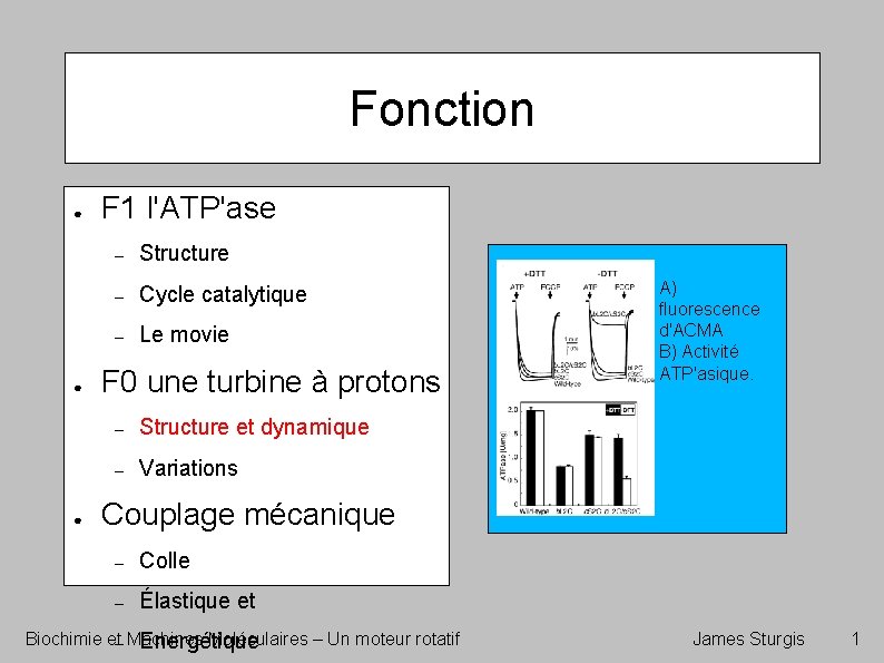 Fonction ● ● ● F 1 l'ATP'ase – Structure – Cycle catalytique – Le