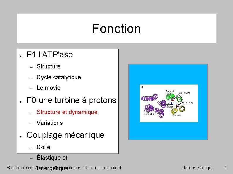 Fonction ● ● ● F 1 l'ATP'ase – Structure – Cycle catalytique – Le