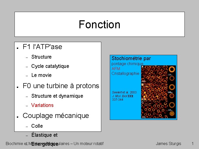 Fonction ● ● ● F 1 l'ATP'ase – Structure Stochiométrie par – Cycle catalytique