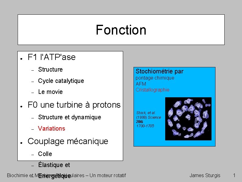 Fonction ● ● ● F 1 l'ATP'ase – Structure Stochiométrie par – Cycle catalytique