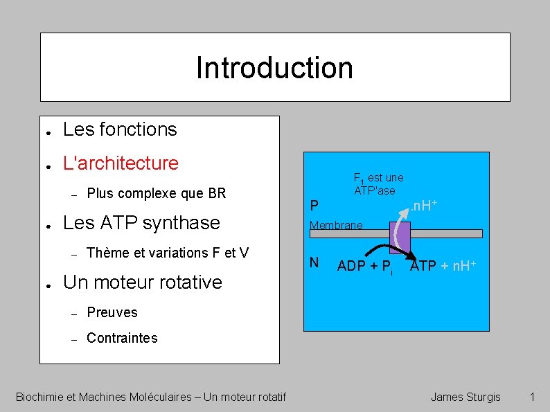 Introduction ● Les fonctions ● L'architecture – ● Les ATP synthase – ● Plus