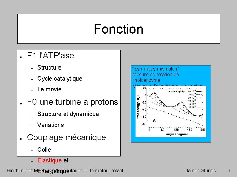 Fonction ● ● ● F 1 l'ATP'ase – Structure – Cycle catalytique – Le