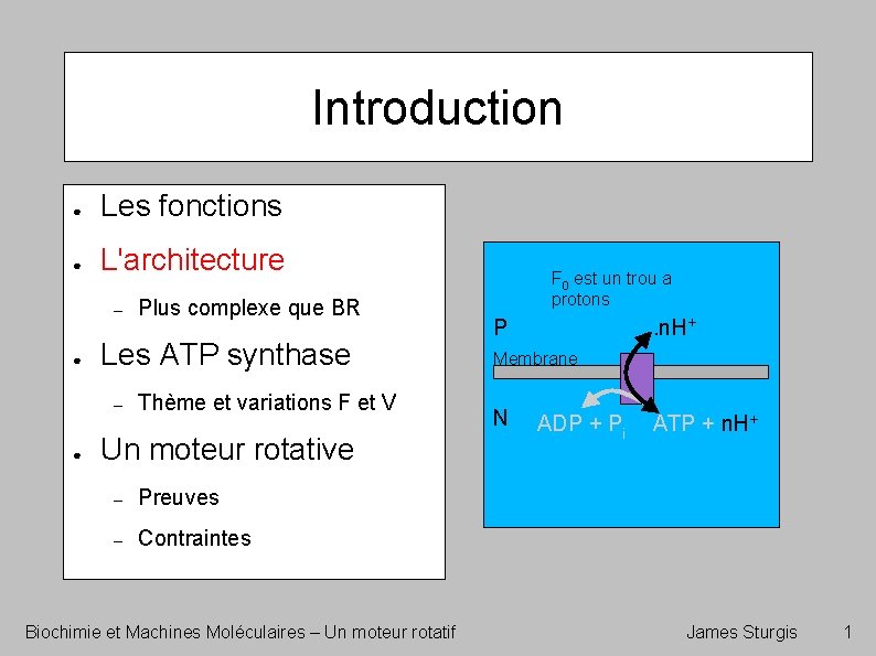 Introduction ● Les fonctions ● L'architecture – ● Les ATP synthase – ● Plus