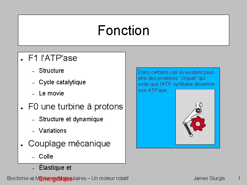 Fonction ● ● ● F 1 l'ATP'ase – Structure – Cycle catalytique – Le