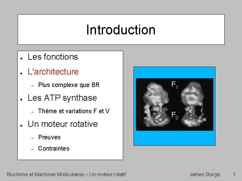 Introduction ● Les fonctions ● L'architecture – ● F 1 Les ATP synthase –