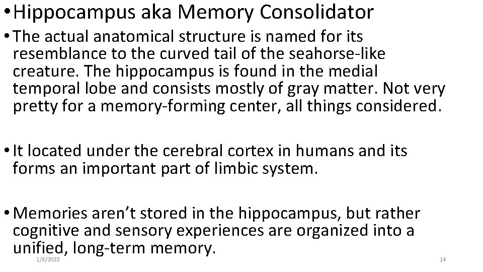  • Hippocampus aka Memory Consolidator • The actual anatomical structure is named for