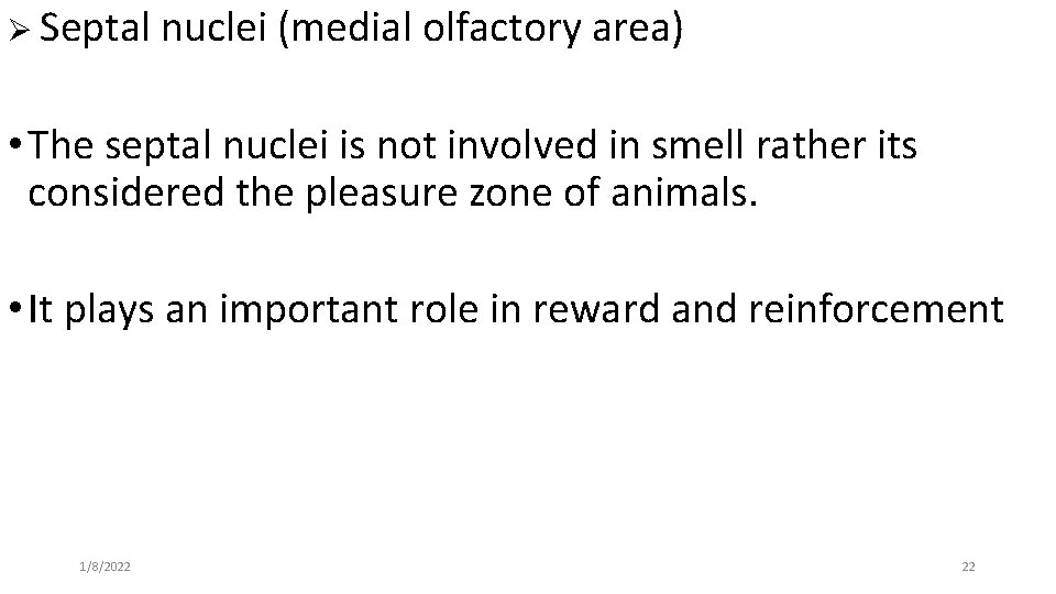 Ø Septal nuclei (medial olfactory area) • The septal nuclei is not involved in