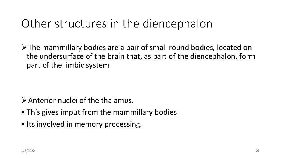 Other structures in the diencephalon ØThe mammillary bodies are a pair of small round