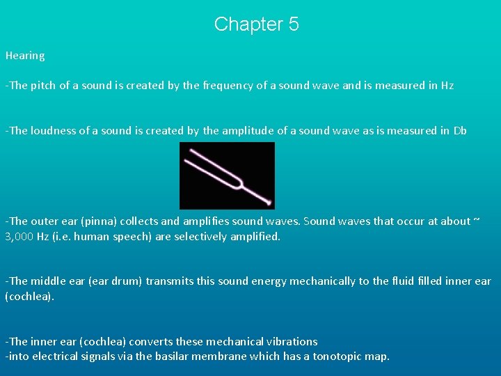 Chapter 5 Hearing -The pitch of a sound is created by the frequency of