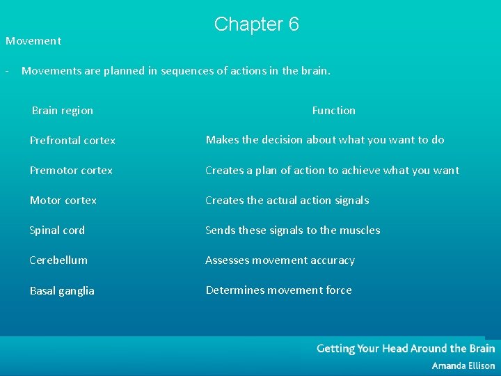 Movement Chapter 6 - Movements are planned in sequences of actions in the brain.