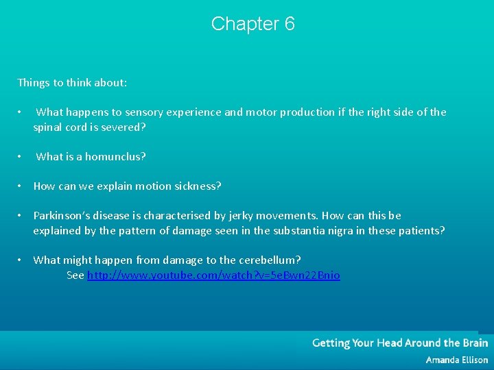 Chapter 6 Things to think about: • What happens to sensory experience and motor