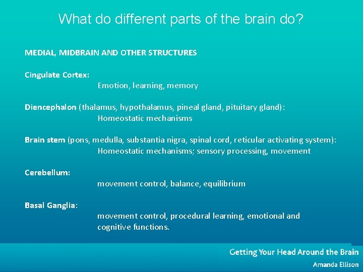 What do different parts of the brain do? MEDIAL, MIDBRAIN AND OTHER STRUCTURES Cingulate