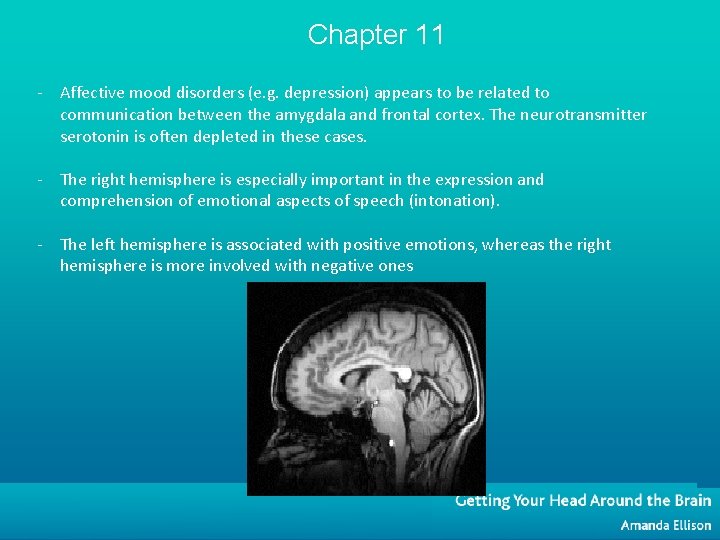 Chapter 11 - Affective mood disorders (e. g. depression) appears to be related to