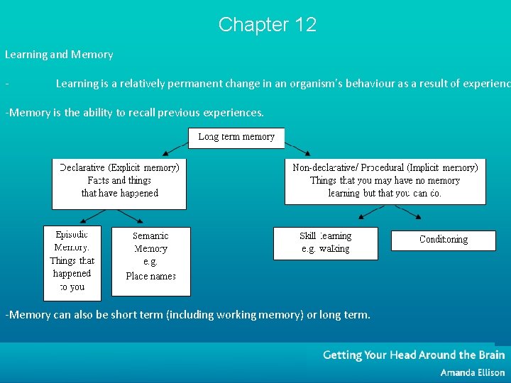 Chapter 12 Learning and Memory - Learning is a relatively permanent change in an