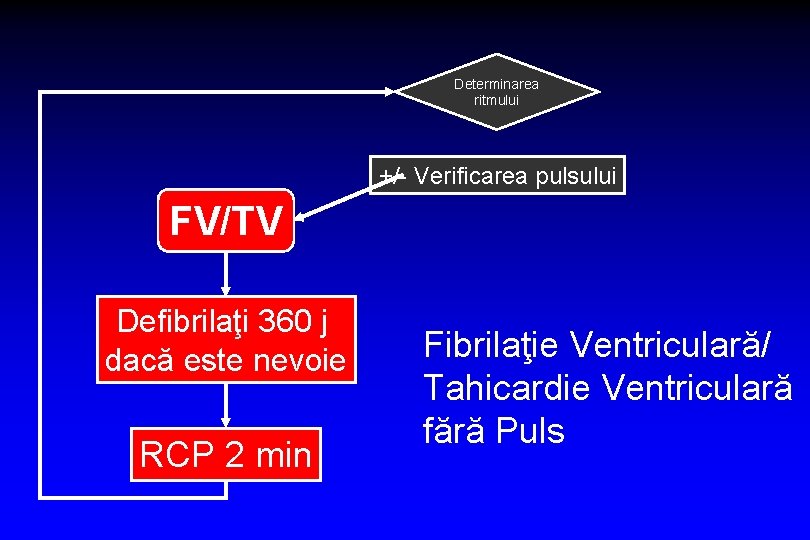 Determinarea ritmului +/- Verificarea pulsului FV/TV Defibrilaţi 360 j dacă este nevoie RCP 2