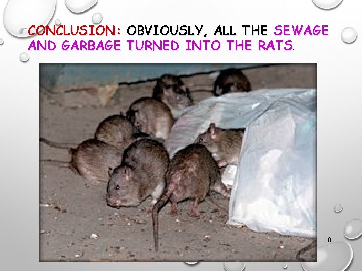 CONCLUSION: OBVIOUSLY, ALL THE SEWAGE AND GARBAGE TURNED INTO THE RATS. 10 