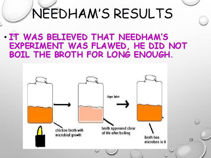 NEEDHAM’S RESULTS • IT WAS BELIEVED THAT NEEDHAM’S EXPERIMENT WAS FLAWED, HE DID NOT