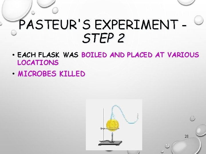 PASTEUR'S EXPERIMENT STEP 2 • EACH FLASK WAS BOILED AND PLACED AT VARIOUS LOCATIONS