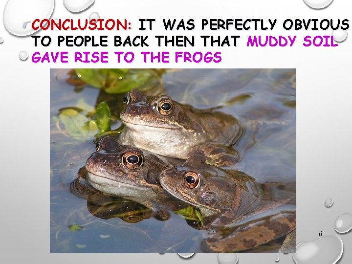CONCLUSION: IT WAS PERFECTLY OBVIOUS TO PEOPLE BACK THEN THAT MUDDY SOIL GAVE RISE