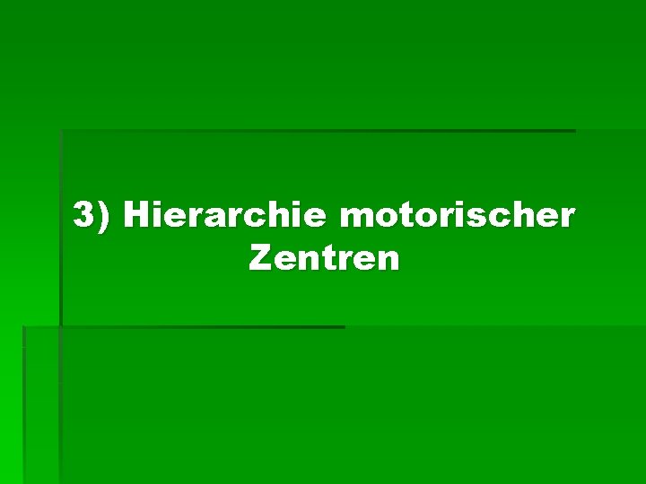 3) Hierarchie motorischer Zentren 