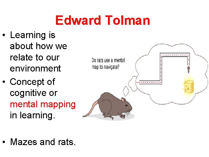 Edward Tolman • Learning is about how we relate to our environment • Concept