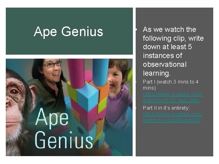 Ape Genius • As we watch the following clip, write down at least 5