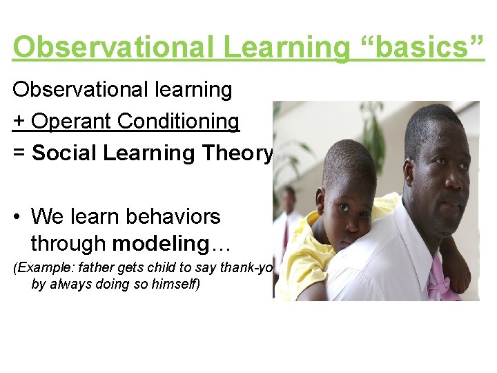 Observational Learning “basics” Observational learning + Operant Conditioning = Social Learning Theory • We