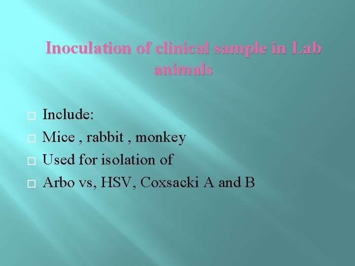 Inoculation of clinical sample in Lab animals � � Include: Mice , rabbit ,
