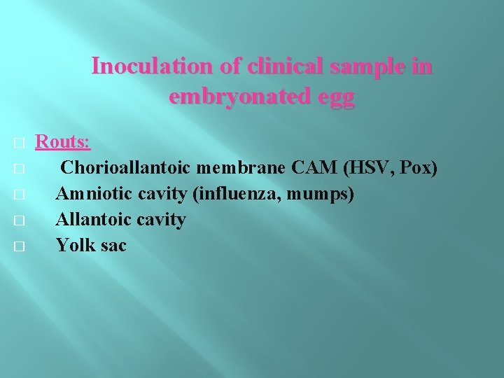 Inoculation of clinical sample in embryonated egg � � � Routs: Chorioallantoic membrane CAM
