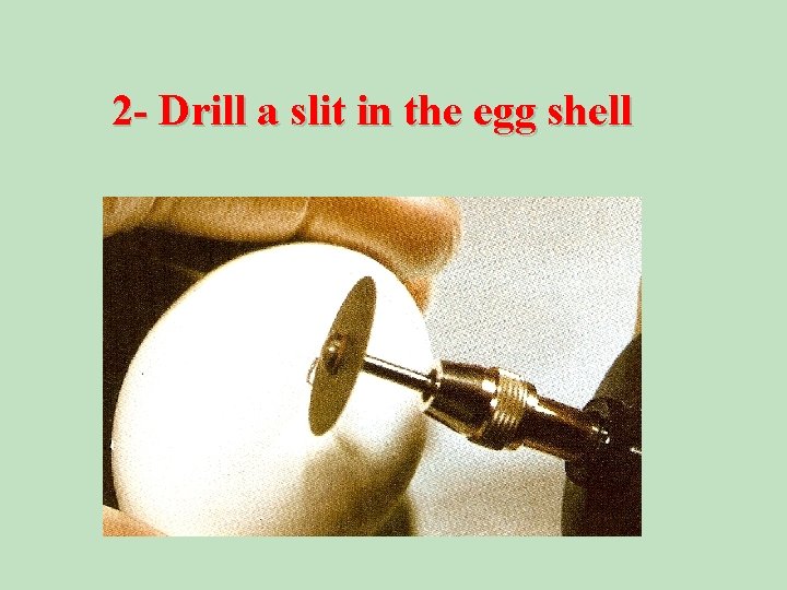 2 - Drill a slit in the egg shell 
