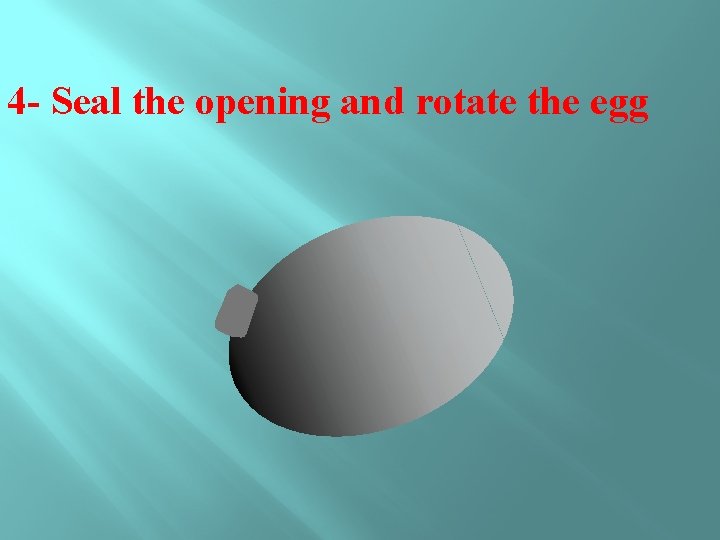 4 - Seal the opening and rotate the egg 