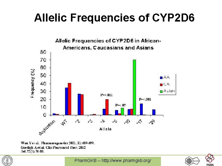 Allelic Frequencies of CYP 2 D 6 Pharm. GKB -- http: //www. pharmgkb. org/